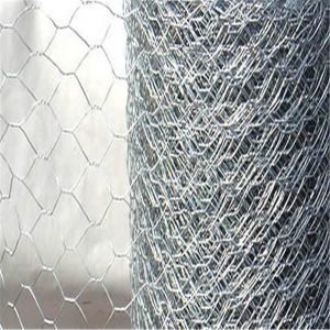 Hexagonal Wire Mesh